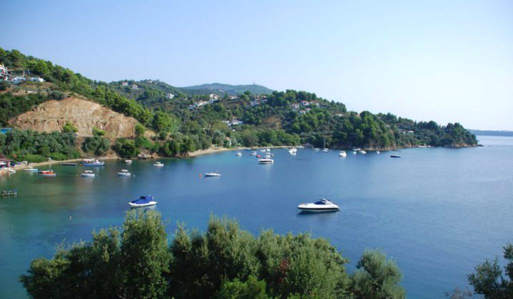 Tzaneria Apartments Skiathos 卡纳皮特萨 外观 照片