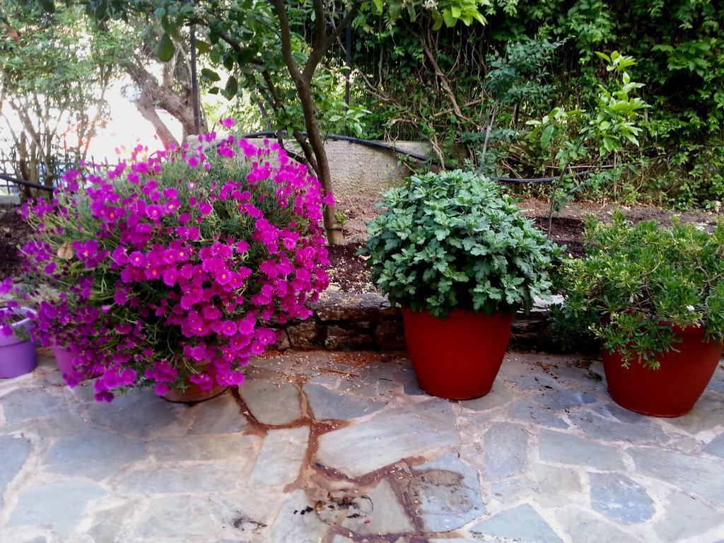Tzaneria Apartments Skiathos 卡纳皮特萨 外观 照片